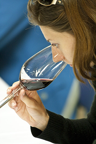 Hospice du Rhone 2009 - You're the Rhône that I Want