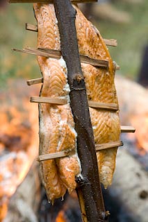 Salmon filet bakes on an alder sapling at Depoe Bay's 52nd Annual Salmon Bake.