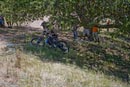 CR07_Downhill_6820