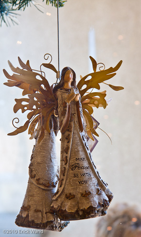 Art of Flowers Holiday Showcase 2010  - Image Name: AOF Xmas10_6620