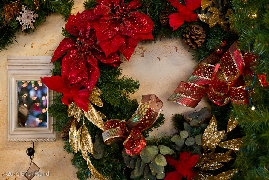 Art of Flowers Holiday Showcase 2010  - Image Name: AOF Xmas10_6653