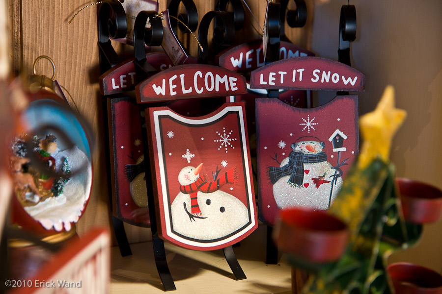 Art of Flowers Holiday Showcase 2010  - Image Name: AOF Xmas10_6654