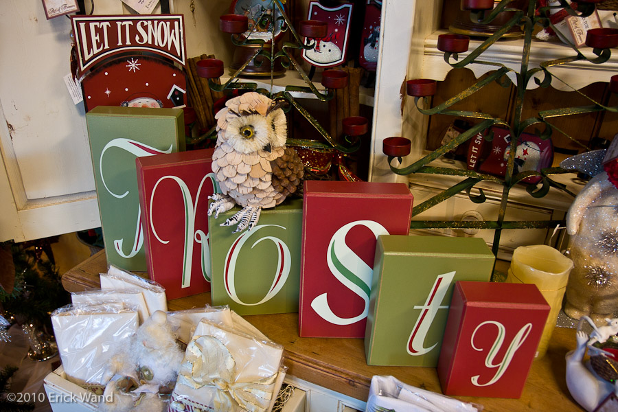 Art of Flowers Holiday Showcase 2010  - Image Name: AOF Xmas10_6675