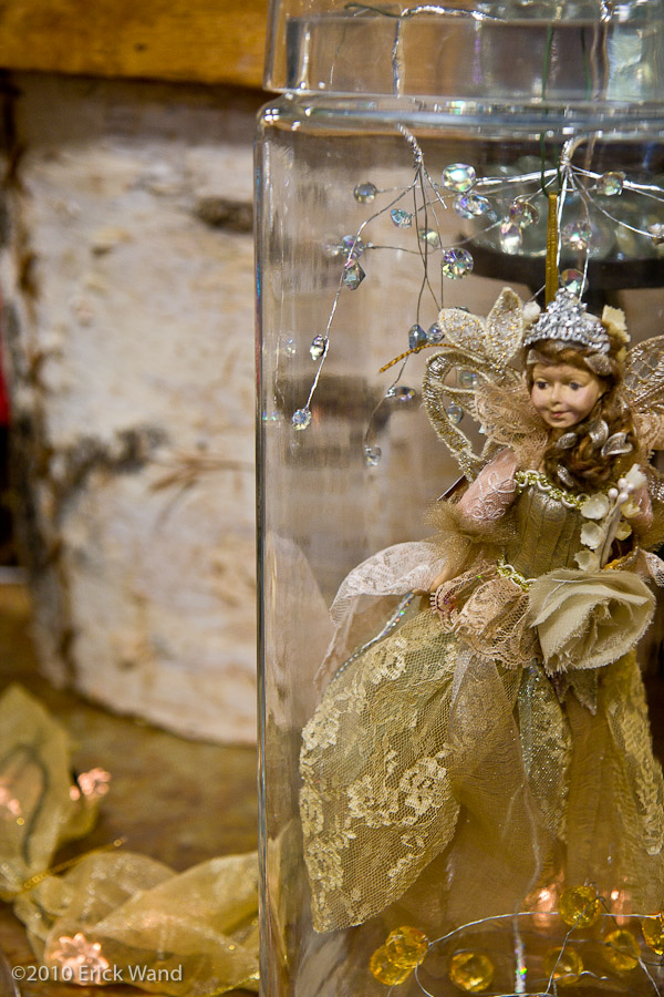 Art of Flowers Holiday Showcase 2010  - Image Name: AOF Xmas10_6681