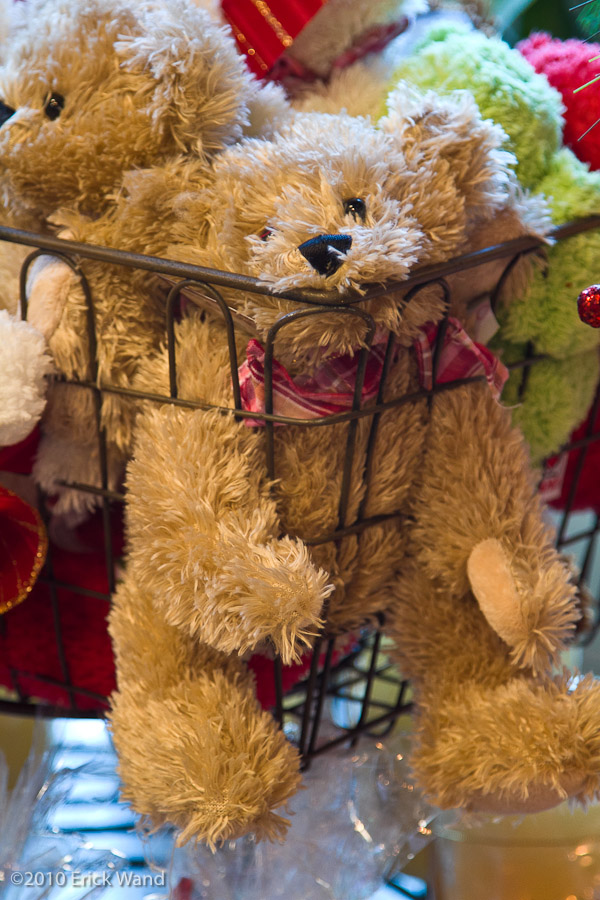 Art of Flowers Holiday Showcase 2010  - Image Name: AoF_Holiday2010_0021