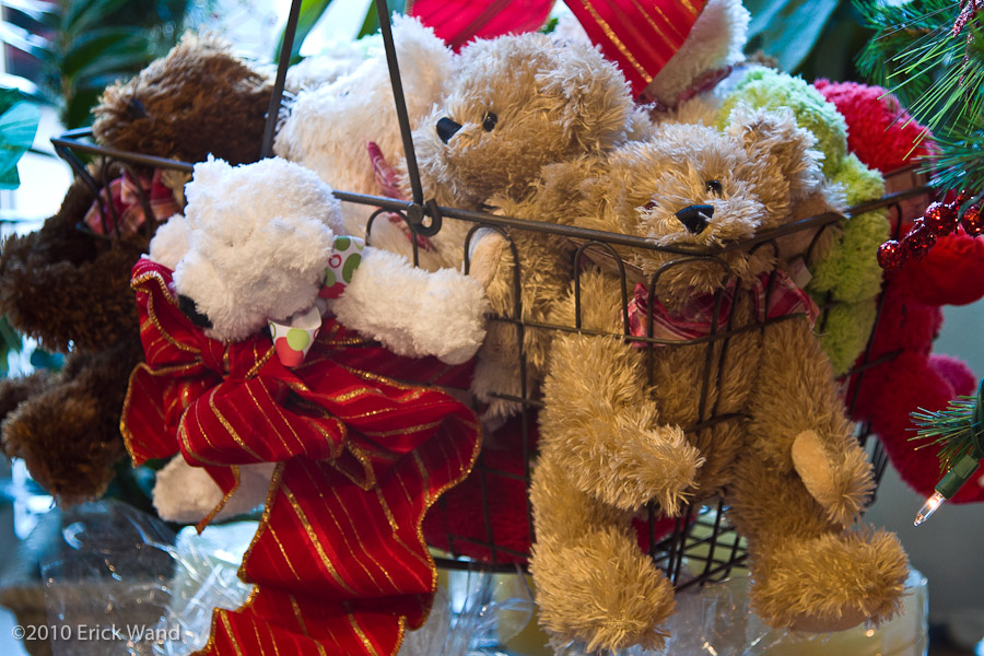 Art of Flowers Holiday Showcase 2010  - Image Name: AoF_Holiday2010_0022