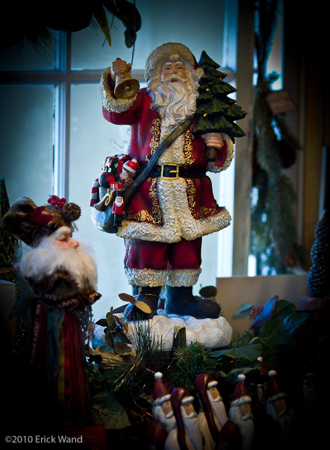 Art of Flowers Holiday Showcase 2010  - Image Name: AoF_Holiday2010_0044