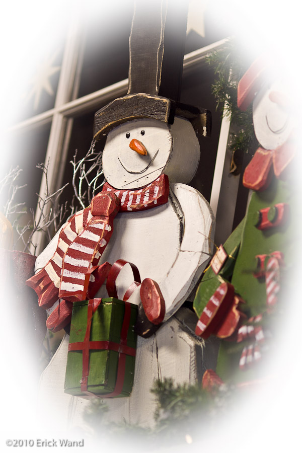 Art of Flowers Holiday Showcase 2010  - Image Name: AoF_Holiday2010_0057