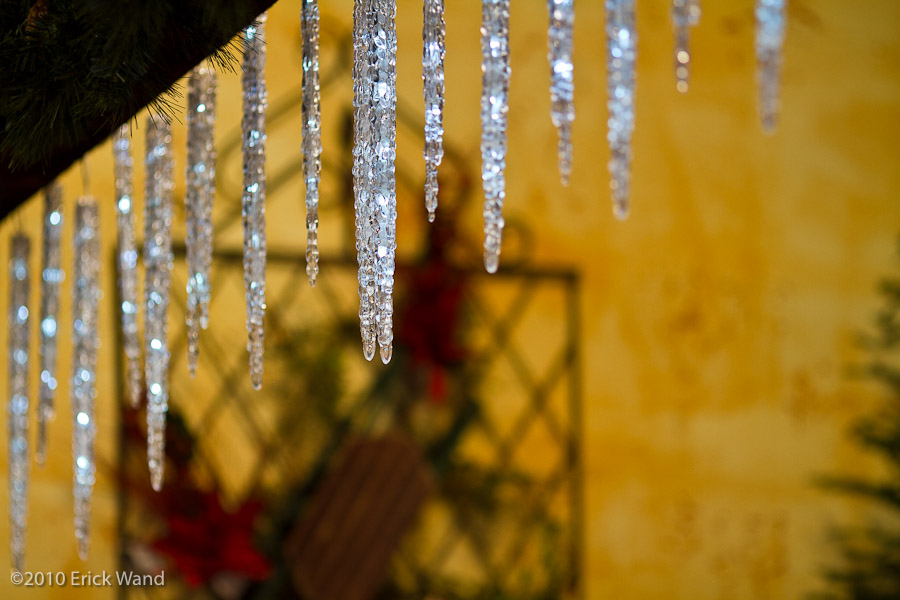 Art of Flowers Holiday Showcase 2010  - Image Name: AoF_Holiday2010_0058