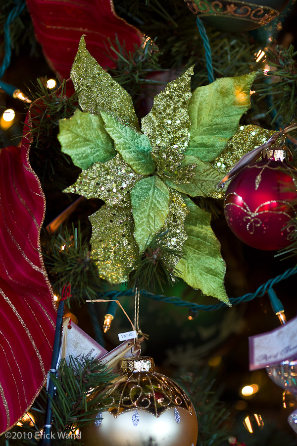 Art of Flowers Holiday Showcase 2010  - Image Name: AoF_Holiday2010_0060