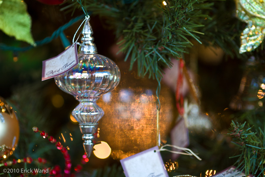 Art of Flowers Holiday Showcase 2010  - Image Name: AoF_Holiday2010_0064