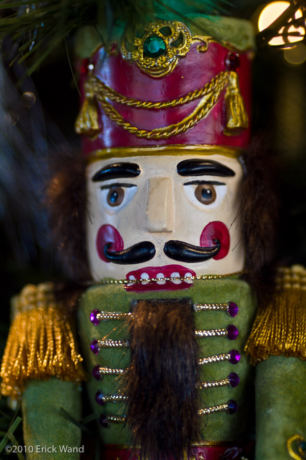 Art of Flowers Holiday Showcase 2010  - Image Name: AoF_Holiday2010_0067