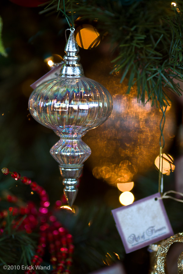 Art of Flowers Holiday Showcase 2010  - Image Name: AoF_Holiday2010_0070