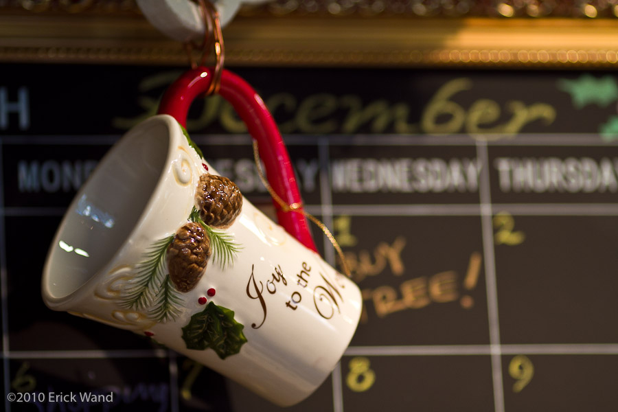 Art of Flowers Holiday Showcase 2010  - Image Name: AoF_Holiday2010_0076