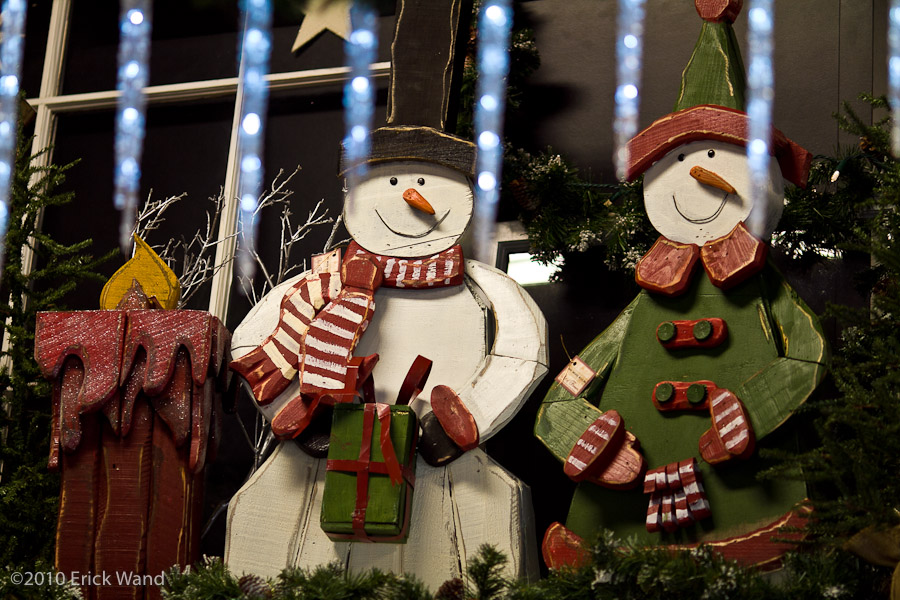 Art of Flowers Holiday Showcase 2010  - Image Name: AoF_Holiday2010_0082