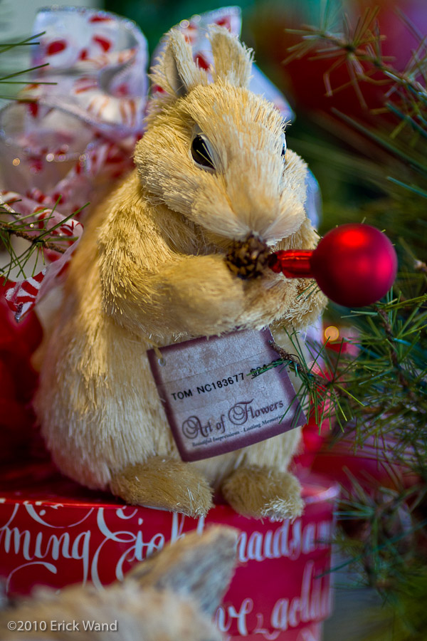 Art of Flowers Holiday Showcase 2010  - Image Name: AoF_Holiday2010_0083