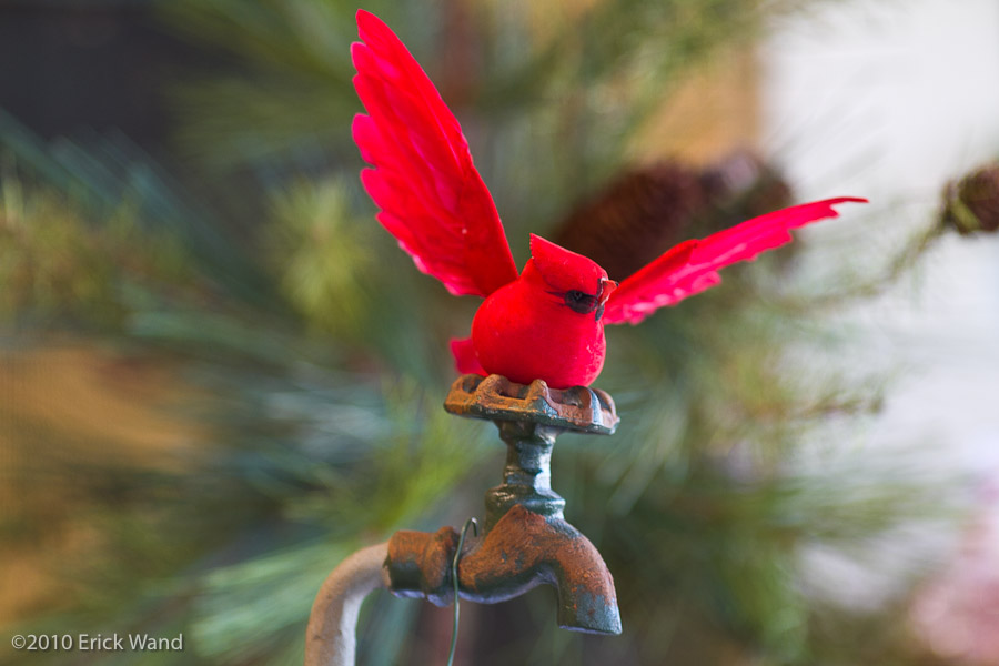 Art of Flowers Holiday Showcase 2010  - Image Name: AoF_Holiday2010_0084