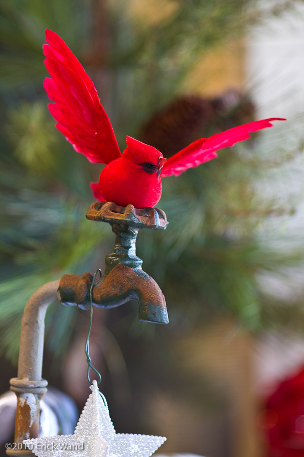 Art of Flowers Holiday Showcase 2010  - Image Name: AoF_Holiday2010_0085