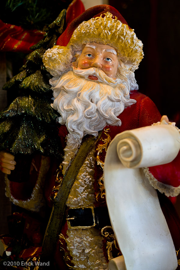 Art of Flowers Holiday Showcase 2010  - Image Name: AoF_Holiday2010_0088