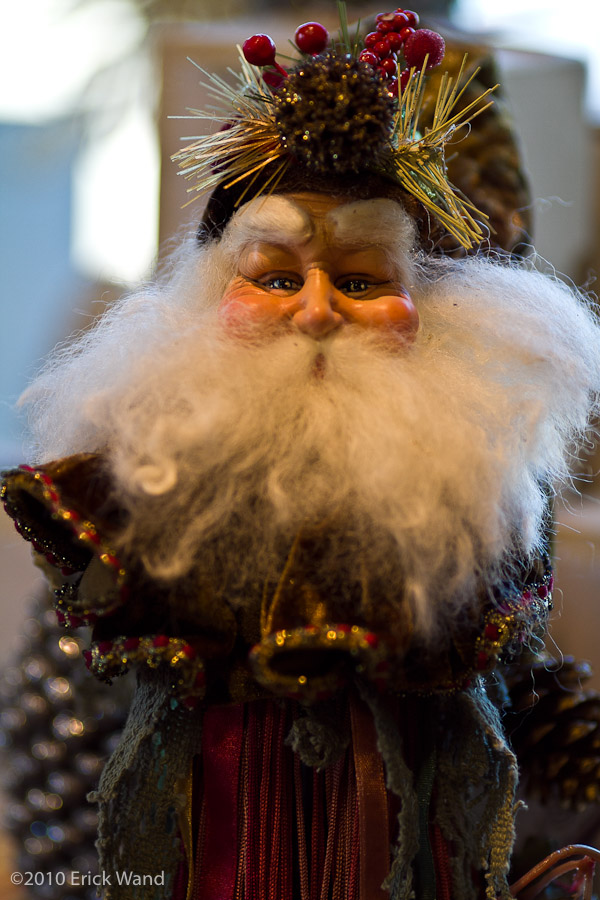 Art of Flowers Holiday Showcase 2010  - Image Name: AoF_Holiday2010_0116