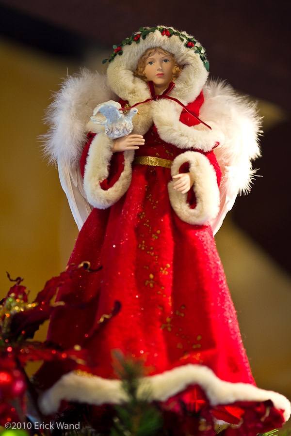 Art of Flowers Holiday Showcase 2010  - Image Name: AoF_Holiday2010_0121