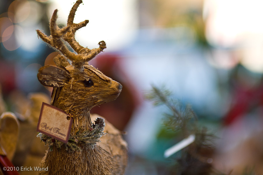 Art of Flowers Holiday Showcase 2010  - Image Name: AoF_Holiday2010_0123