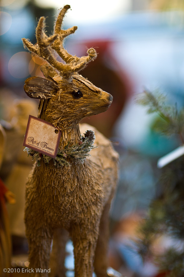 Art of Flowers Holiday Showcase 2010  - Image Name: AoF_Holiday2010_0125