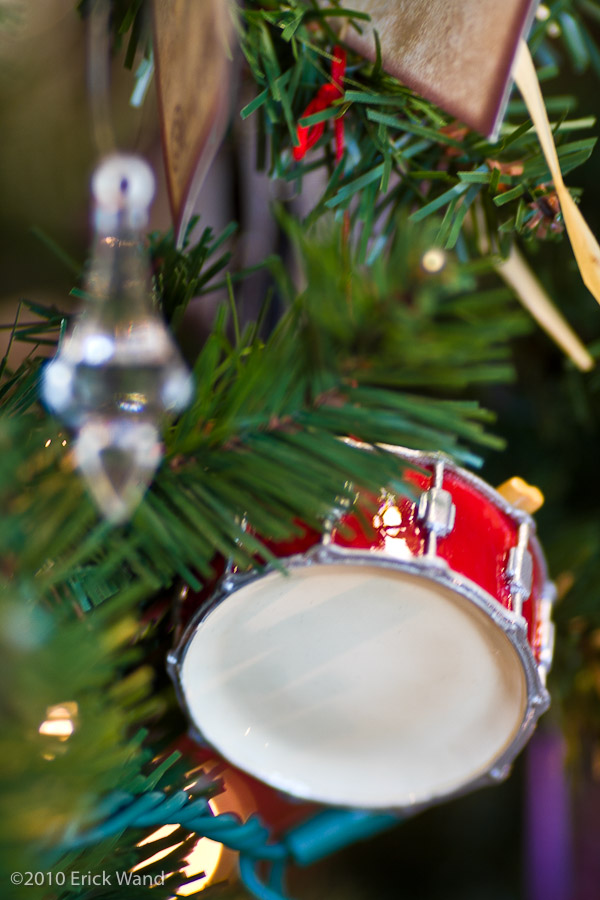 Art of Flowers Holiday Showcase 2010  - Image Name: AoF_Holiday2010_0127