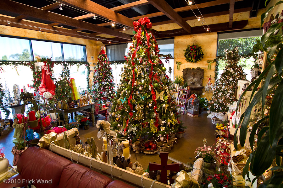 Art of Flowers Holiday Showcase 2010  - Image Name: AoF_Holiday2010_9947