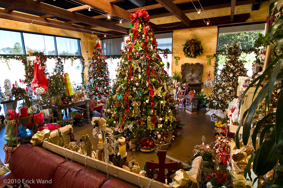 Art of Flowers Holiday Showcase 2010  - Image Name: AoF_Holiday2010_9948