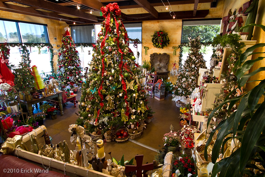 Art of Flowers Holiday Showcase 2010  - Image Name: AoF_Holiday2010_9949