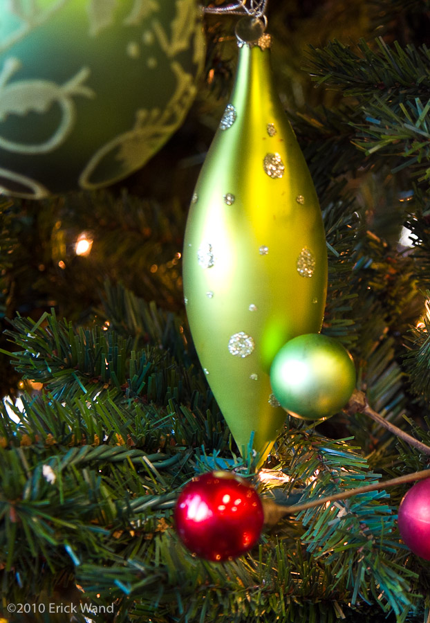 Art of Flowers Holiday Showcase 2010  - Image Name: AoF_Holiday2010_9993