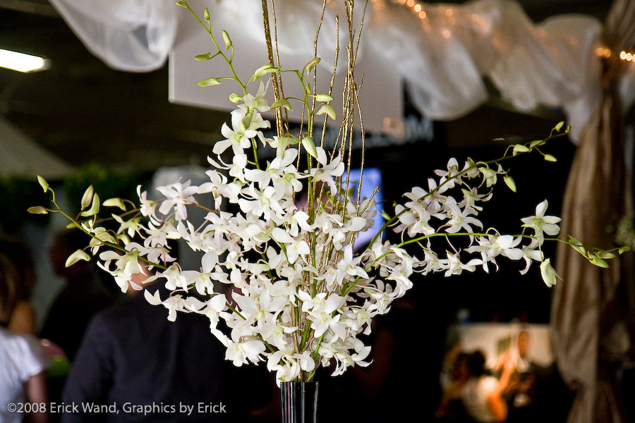 Art of Flowers Weddding Expo - October 19, 2008  - Image #14 of 25
