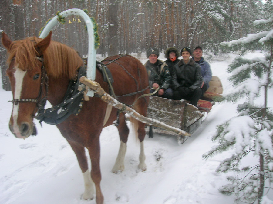 Brun Family  - Image Name: Brun 1795