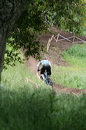 cr06_downhill_3163