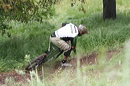 cr06_downhill_3189