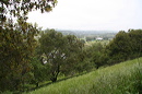 cr06_downhill_3322