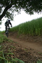 cr06_downhill_3336