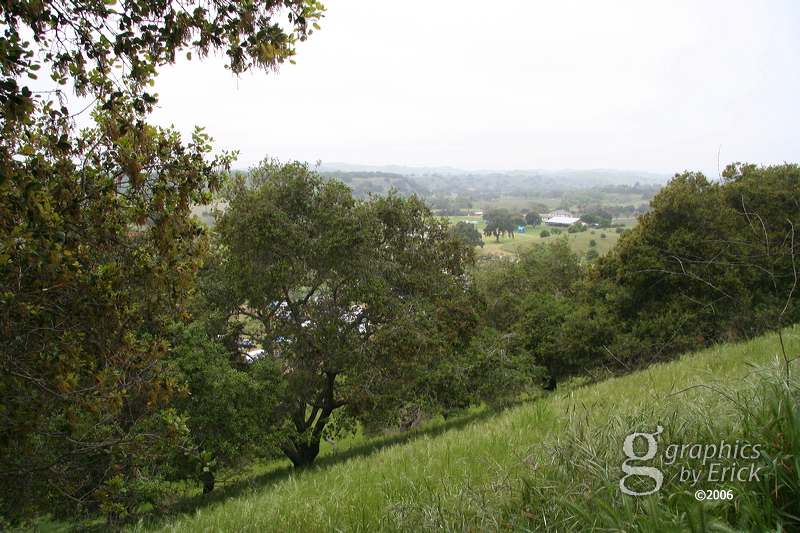 cr06_downhill_3322.jpg