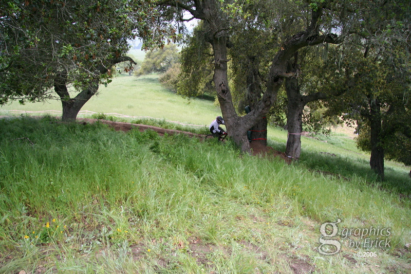 cr06_downhill_3407.jpg