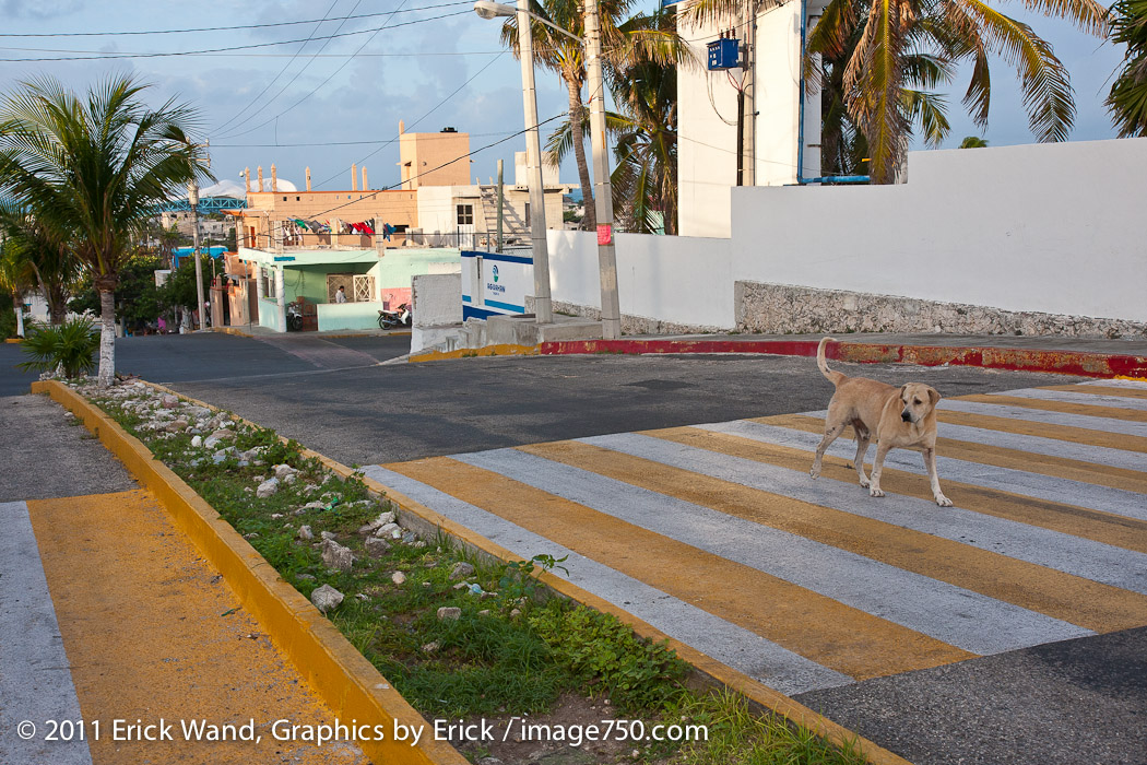 IslaMujeres_8504