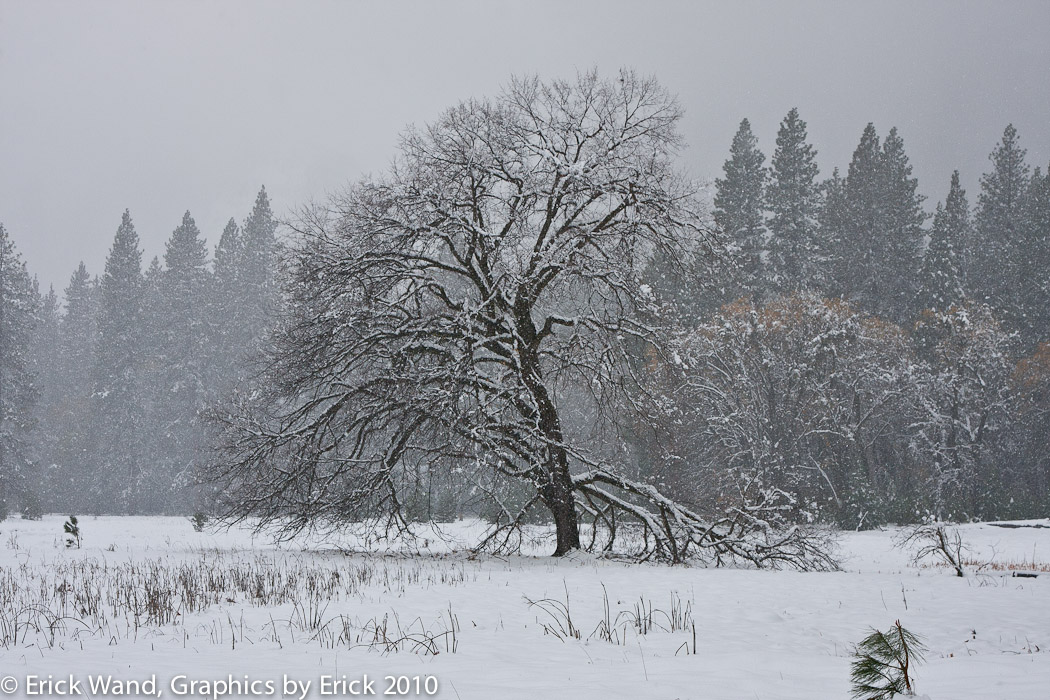 Yosemite10_6750
