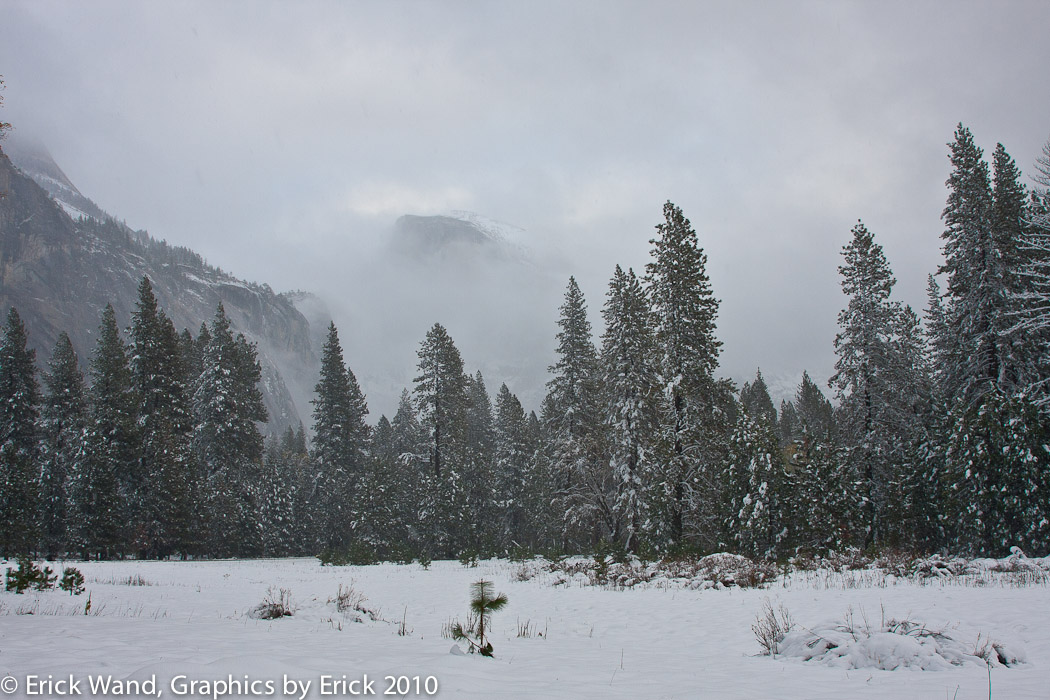 Yosemite10_6765
