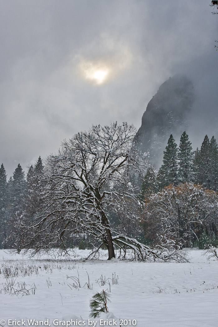 Yosemite10_6766