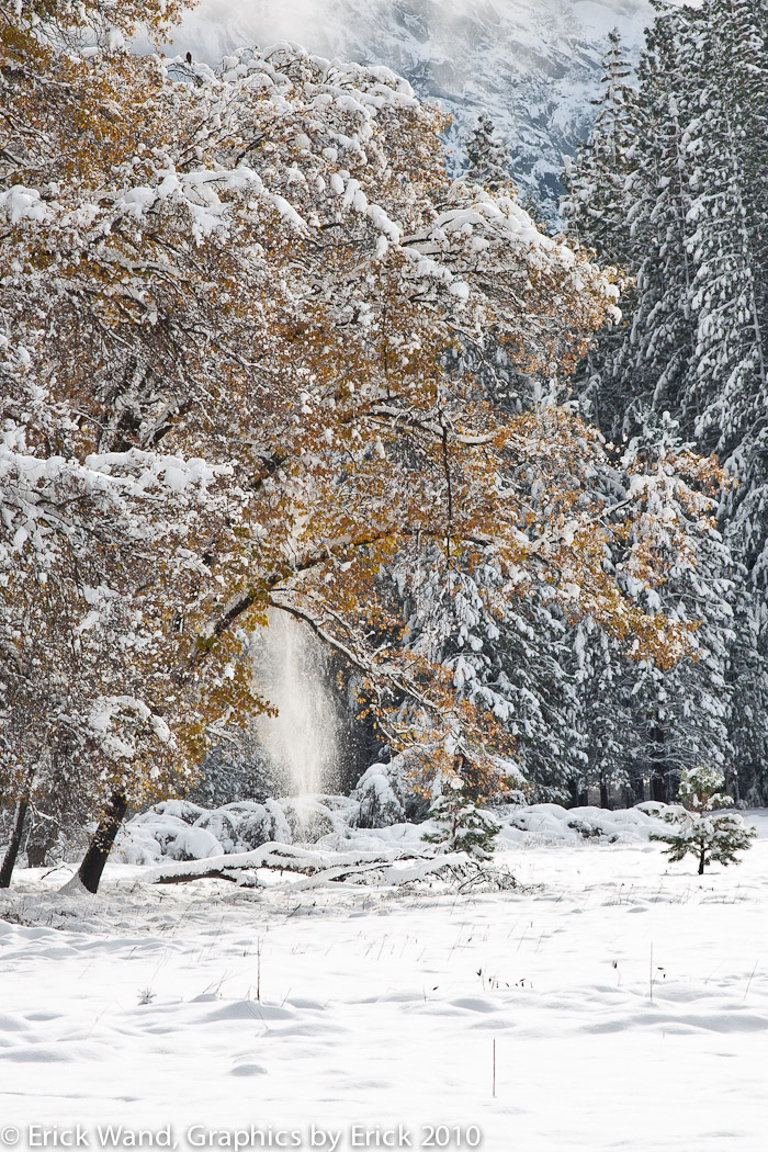 Yosemite10_6797