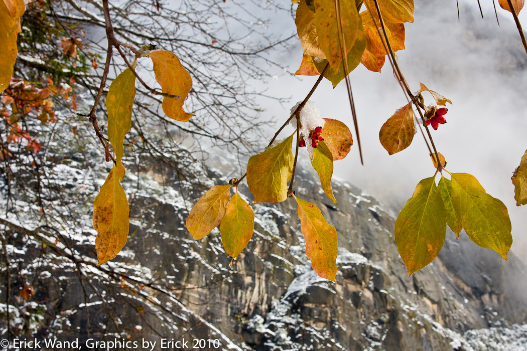 Yosemite10_6819