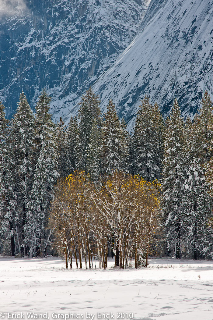 Yosemite10_6923