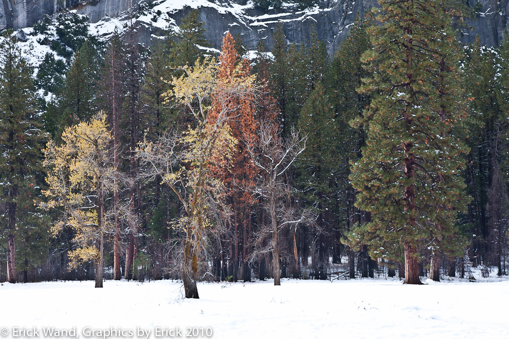 Yosemite10_7232