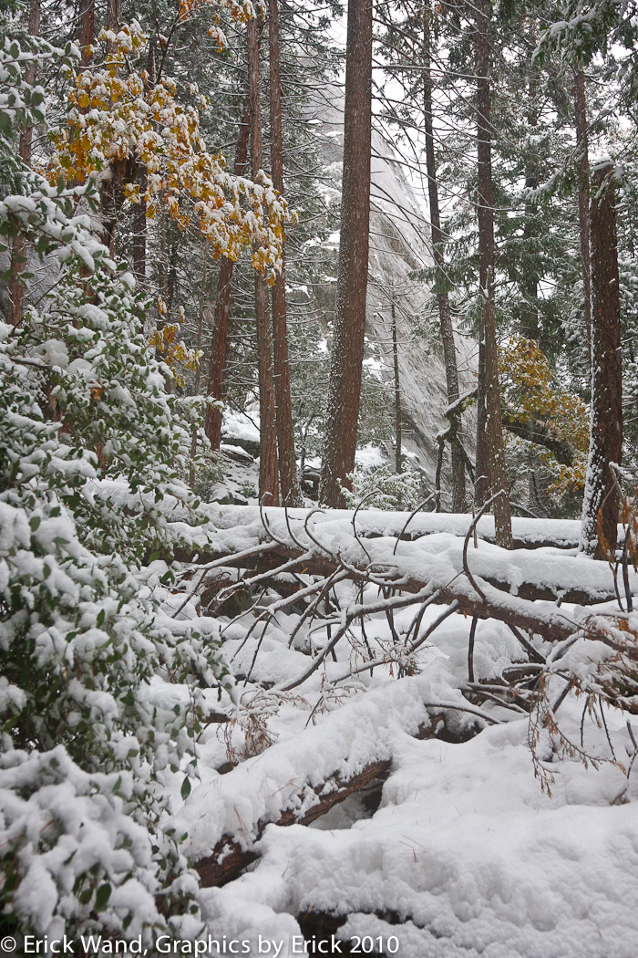 Yosemite10_7350