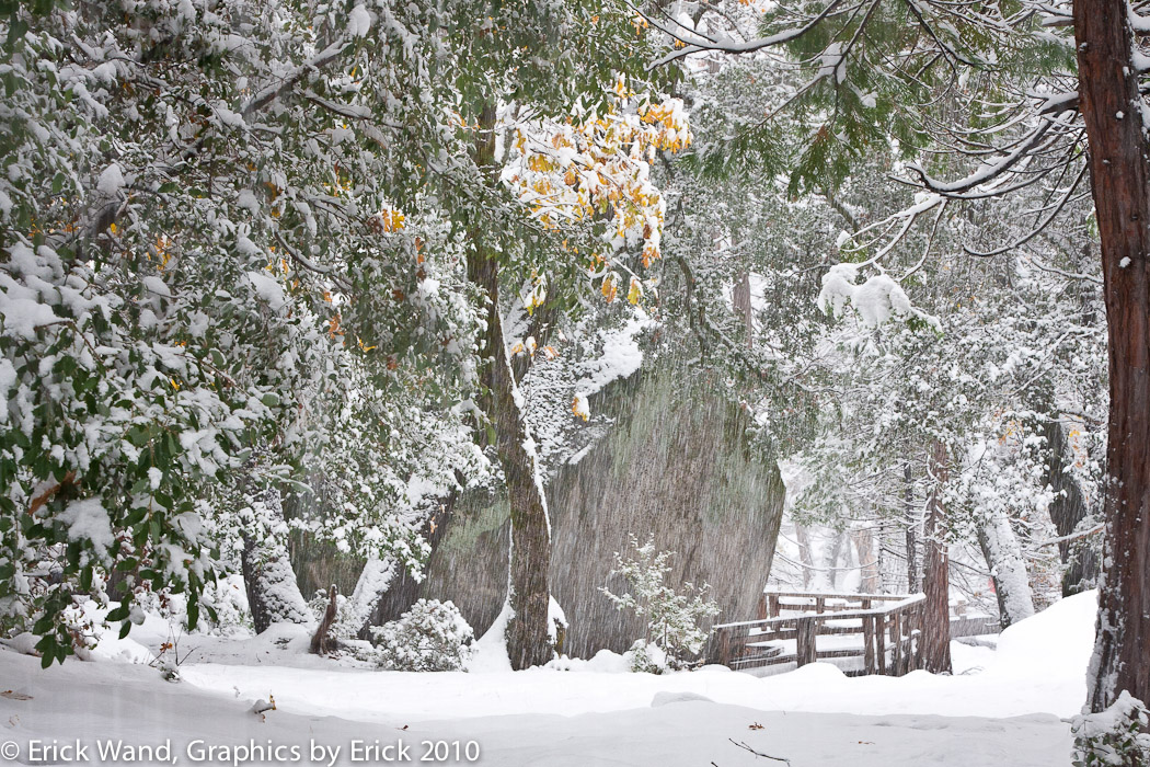 Yosemite10_7612